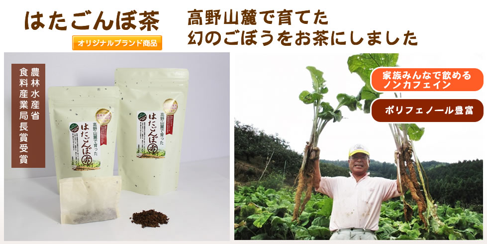 高野山麓で育てた幻のごぼうをお茶にしました